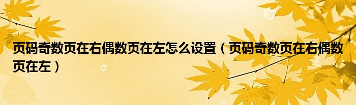 页码奇数页在右偶数页在左怎么设置（页码奇数页在右偶数页在左）