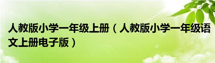 人教版小学一年级上册（人教版小学一年级语文上册电子版）