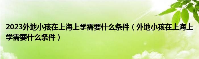 2023外地小孩在上海上学需要什么条件（外地小孩在上海上学需要什么条件）