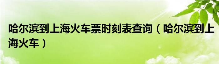 哈尔滨到上海火车票时刻表查询（哈尔滨到上海火车）