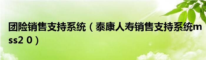 团险销售支持系统（泰康人寿销售支持系统mss2 0）