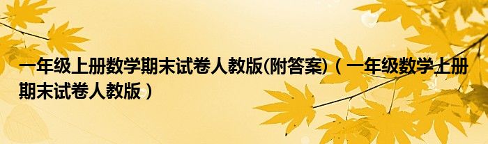 一年级上册数学期末试卷人教版(附答案)（一年级数学上册期末试卷人教版）