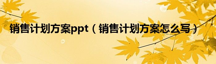 销售计划方案ppt（销售计划方案怎么写）