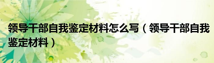 领导干部自我鉴定材料怎么写（领导干部自我鉴定材料）