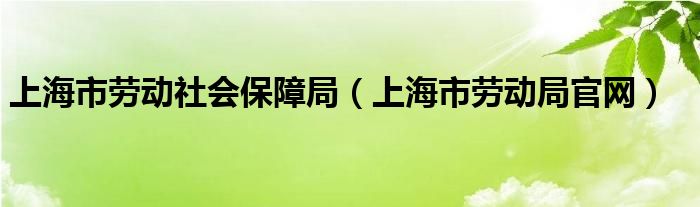 上海市劳动社会保障局（上海市劳动局官网）