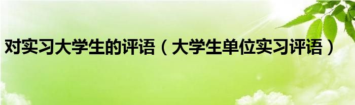 对实习大学生的评语（大学生单位实习评语）