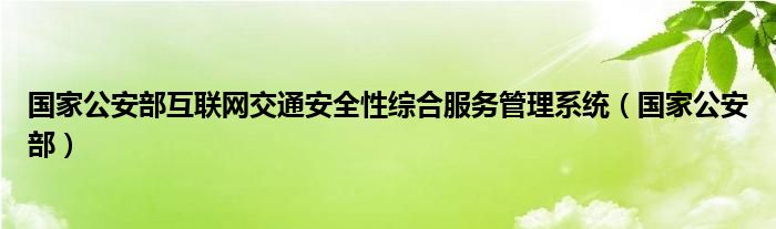 国家公安部互联网交通安全性综合服务管理系统（国家公安部）