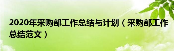 2020年采购部工作总结与计划（采购部工作总结范文）