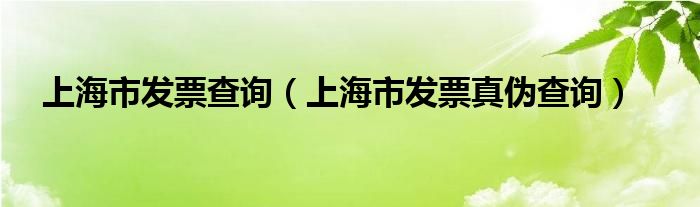 上海市发票查询（上海市发票真伪查询）