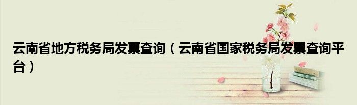 云南省地方税务局发票查询（云南省国家税务局发票查询平台）