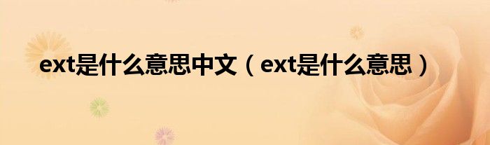 ext是什么意思中文（ext是什么意思）