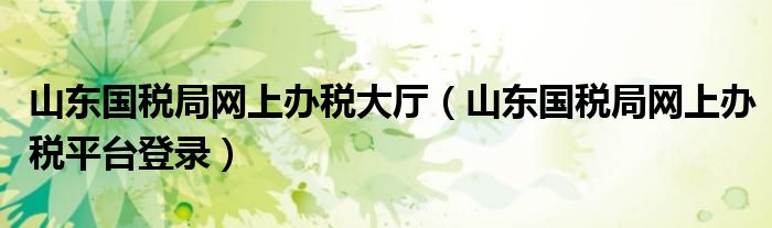 山东国税局网上办税大厅（山东国税局网上办税平台登录）