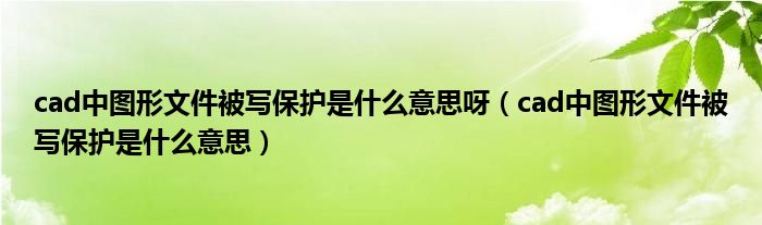 cad中图形文件被写保护是什么意思呀（cad中图形文件被写保护是什么意思）