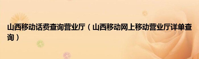 山西移动话费查询营业厅（山西移动网上移动营业厅详单查询）