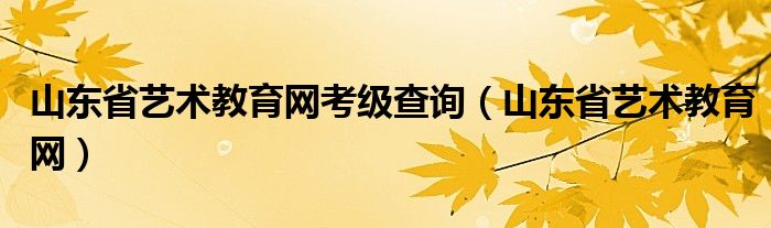 山东省艺术教育网考级查询（山东省艺术教育网）