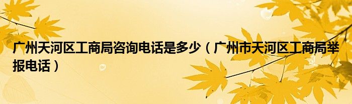 广州天河区工商局咨询电话是多少（广州市天河区工商局举报电话）