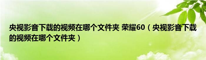 央视影音下载的视频在哪个文件夹 荣耀60（央视影音下载的视频在哪个文件夹）