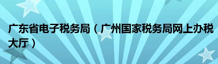 广东省电子税务局（广州国家税务局网上办税大厅）