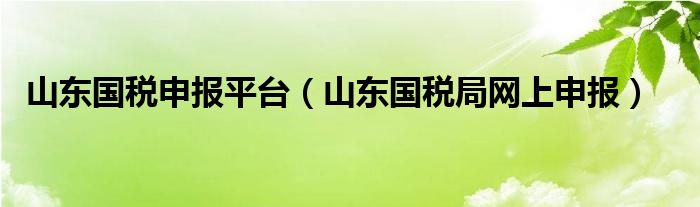 山东国税申报平台（山东国税局网上申报）