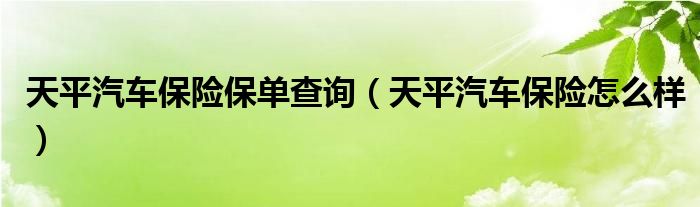 天平汽车保险保单查询（天平汽车保险怎么样）