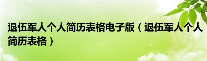 退伍军人个人简历表格电子版（退伍军人个人简历表格）