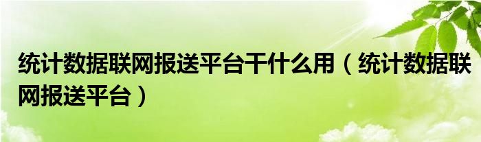 统计数据联网报送平台干什么用（统计数据联网报送平台）