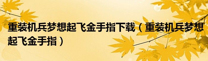 重装机兵梦想起飞金手指下载（重装机兵梦想起飞金手指）