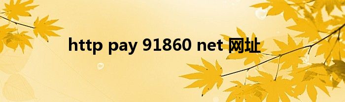 http pay 91860 net 网址