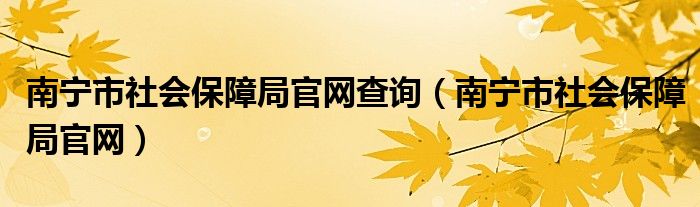 南宁市社会保障局官网查询（南宁市社会保障局官网）