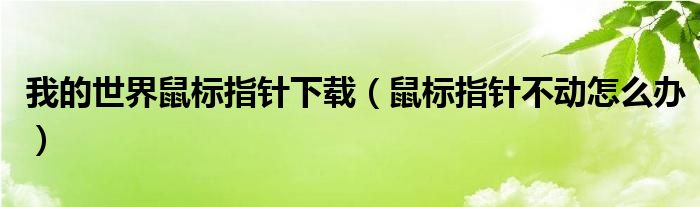 我的世界鼠标指针下载（鼠标指针不动怎么办）