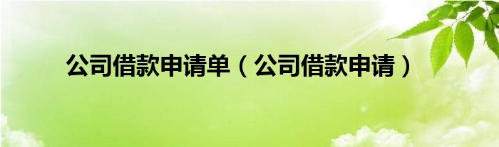 公司借款申请单（公司借款申请）