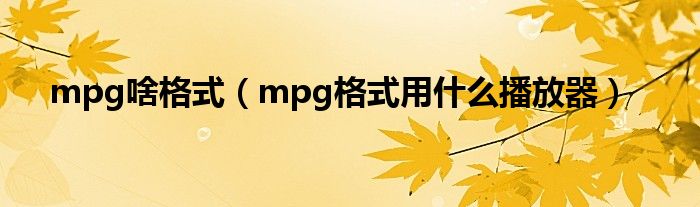 mpg啥格式（mpg格式用什么播放器）