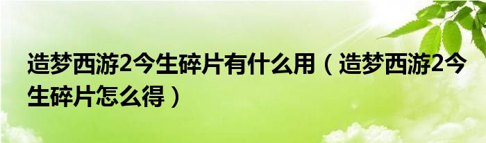 造梦西游2今生碎片有什么用（造梦西游2今生碎片怎么得）