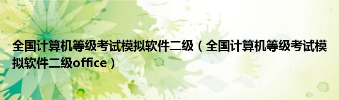 全国计算机等级考试模拟软件二级（全国计算机等级考试模拟软件二级office）