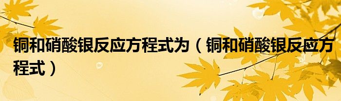 铜和硝酸银反应方程式为（铜和硝酸银反应方程式）