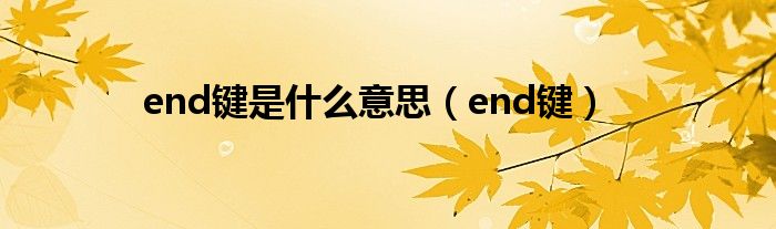 end键是什么意思（end键）