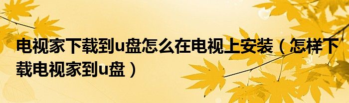 电视家下载到u盘怎么在电视上安装（怎样下载电视家到u盘）