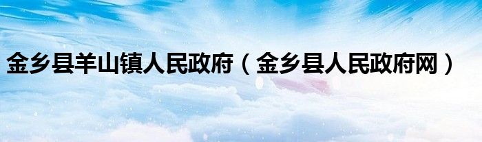 金乡县羊山镇人民政府（金乡县人民政府网）