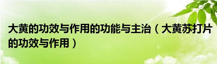 大黄的功效与作用的功能与主治（大黄苏打片的功效与作用）