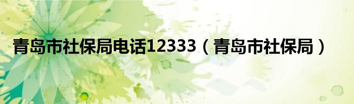 青岛市社保局电话12333（青岛市社保局）