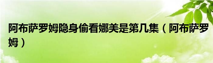 阿布萨罗姆隐身偷看娜美是第几集（阿布萨罗姆）