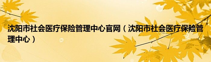 沈阳市社会医疗保险管理中心官网（沈阳市社会医疗保险管理中心）