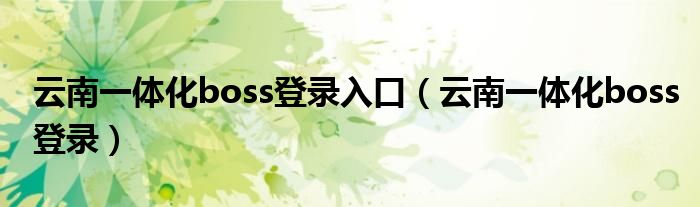 云南一体化boss登录入口（云南一体化boss登录）