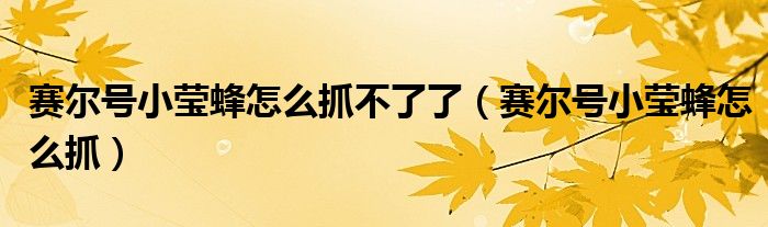 赛尔号小莹蜂怎么抓不了了（赛尔号小莹蜂怎么抓）