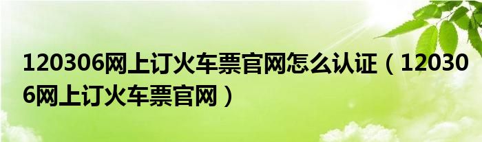 120306网上订火车票官网怎么认证（120306网上订火车票官网）