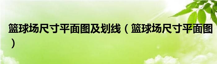 篮球场尺寸平面图及划线（篮球场尺寸平面图）