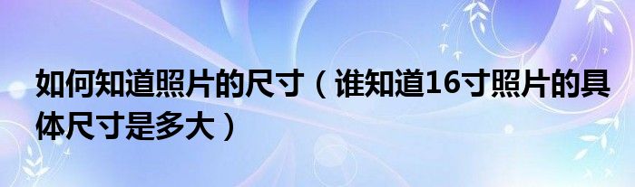 如何知道照片的尺寸（谁知道16寸照片的具体尺寸是多大）