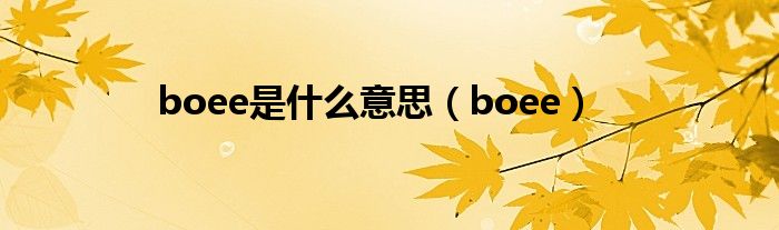 boee是什么意思（boee）