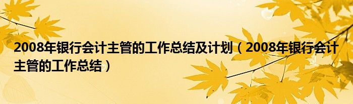 2008年银行会计主管的工作总结及计划（2008年银行会计主管的工作总结）