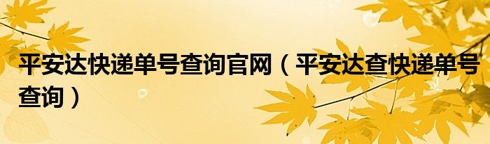 平安达快递单号查询官网（平安达查快递单号查询）